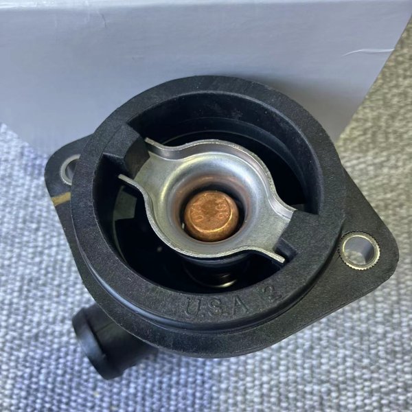 8M0090819 THERMOSTAT ASY Mercury Origin