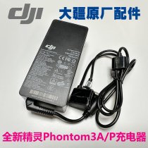 DJI   Phantom3  3A/P 100W ADE019 ac adapter new